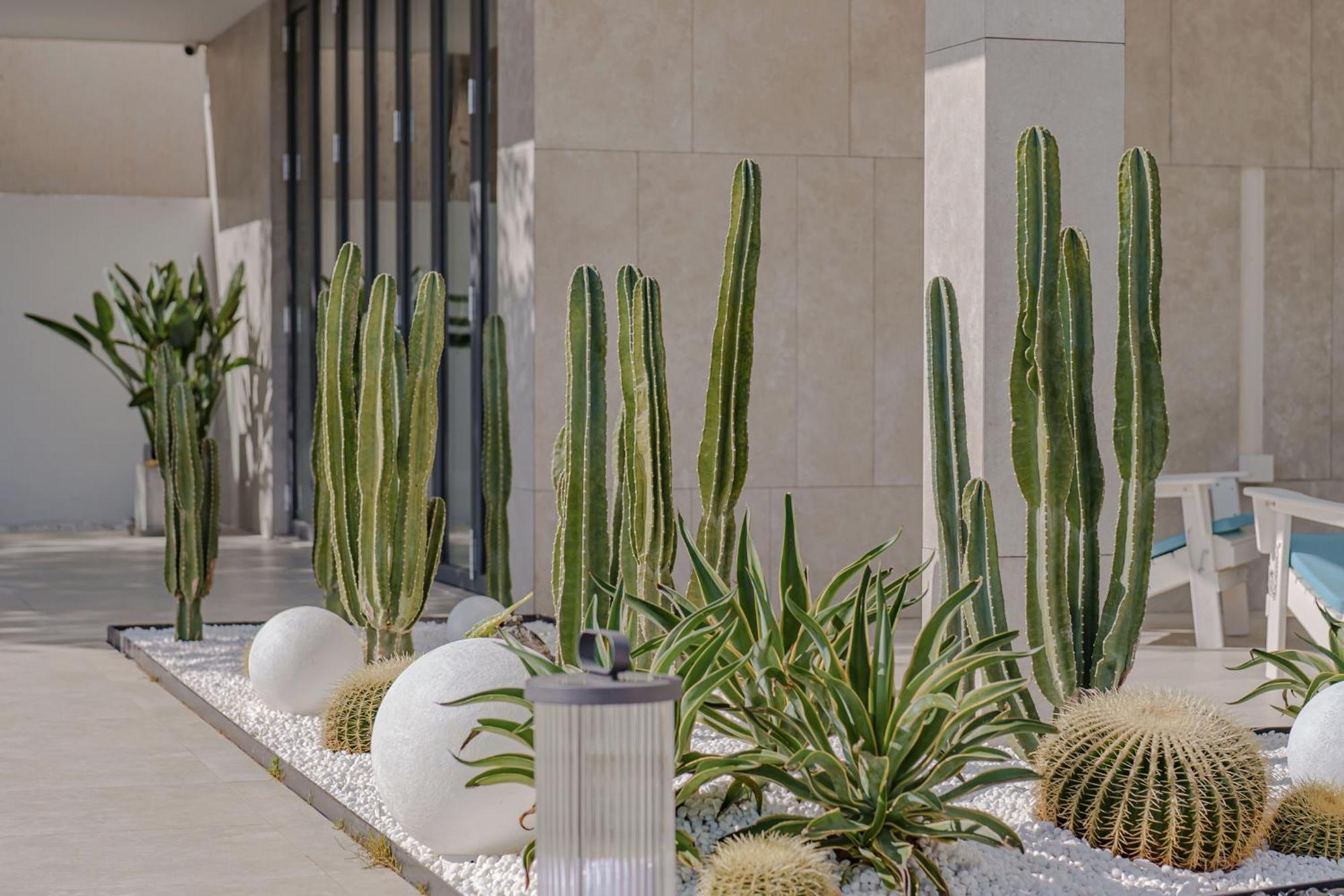 Dali Oriental Seaview Hotel -Dali Erhai Dış mekan fotoğraf